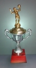 Trofeo Copa Voley