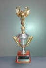 Trofeo Copa Victoria Alada